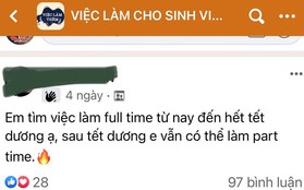 Kiếm tiền tiêu Tết, sinh viên tránh sập bẫy làm thêm