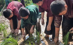 Học sinh khổ vì học: 9 điểm chưa đủ, con phải được 10!