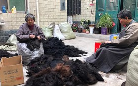 Trung Quốc có thành phố mệnh danh "thánh địa của tóc giả" - nơi những cô gái nông thôn bán tóc thành thông lệ