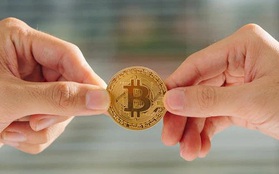 Vụ ly hôn Bitcoin đầu tiên trong lịch sử tiết lộ mánh khóe giấu tiền mới của các cặp vợ chồng: Ngôi nhà, con chung chỉ là chuyện nhỏ, tiền số mới là vấn đề chính