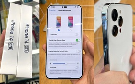 iPhone 14 Pro lộ diện hình ảnh "nét căng" trước thềm ra mắt?