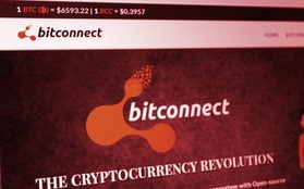 Lừa đảo kiểu Ponzi 2,4 tỷ USD, nhà sáng lập BitConnect đối mặt án tù 70 năm