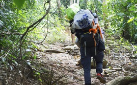 Mê trekking nhưng là "newbie" lại không có hội bạn đi cùng! Đừng lo, một rổ tour cực cool cho bạn "quẹo lựa" đây này!