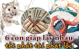 6 cặp con giáp cực hợp nhau, nếu "về chung một nhà" thì phát tài phát lộc, làm ăn tấn tới, giàu có 3 đời