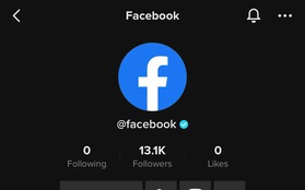 Facebook vừa lập tài khoản… TikTok: Màn “quỳ sụp” nhận thua ê chề hay chiêu trò lôi kéo người dùng của Mark Zuckerberg?