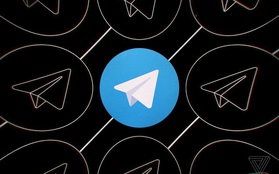 Quên kiểm tra email, Telegram bị Brazil cấm cửa