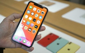 iPhone 11 đang giảm giá cực mạnh, còn đợi gì mà không "chốt đơn" ngay và luôn?