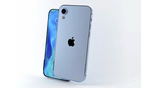 Lộ hình ảnh cho thấy iPhone giá 9 triệu đi kèm một tính năng chỉ có trên dòng iPhone cao cấp?