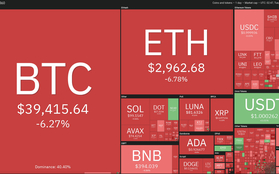 Giá Bitcoin giảm mạnh về mức thấp nhất trong vòng 1 tháng qua, toàn bộ thị trường tiền số “đỏ lửa”