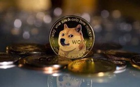 DogeCoin tăng mạnh sau khi Elon Musk sở hữu Twitter