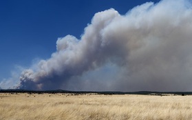 Mỹ: Cháy rừng kỷ lục bùng phát ngoài tầm kiểm soát ở bang New Mexico