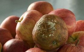 2 loại trái cây có hại cho gan, tránh xa chúng nếu không muốn gan "lăn ra hỏng"