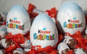 Thu hồi kẹo trứng chocolate Kinder Surprise do nghi nhiễm khuẩn Salmonella: Tác nhân gây nôn mửa, nhiễm độc toàn thân và có thể gây tử vong