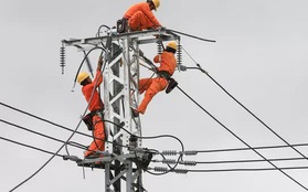 EVN: Năm 2022 không tăng giá điện