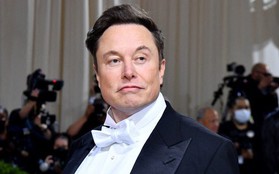 Elon Musk cũng chơi Elden Ring. Hãy cùng phân tích nhân vật và lối chơi của game thủ tỷ phú