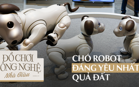 Khám phá chú chó robot Sony Aibo, món đồ chơi có giá 70 triệu mà mọi đứa trẻ đều mơ ước!