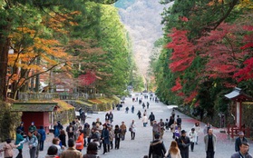 Nhật Bản công bố "du lịch thử nghiệm" có giới hạn từ tháng 5, chuẩn bị mở cửa trở lại hoàn toàn