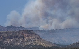 Cháy rừng kỷ lục tại Mỹ: Hàng nghìn người ở bang New Mexico sẵn sàng sơ tán