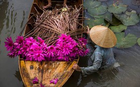 Báo New Zealand nêu 10 lý do du khách nên đến Việt Nam