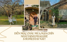 Sắp đến Mộc Châu mùa mận chín thì phải ghim ngay 5 homestay xinh phát hờn này: Đủ cả 3 tiêu chí chill - xịn - rẻ luôn!