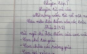 Làm bài tập đặt câu nêu đặc điểm của con vật, bé gái tiểu học khiến dân mạng dở khóc dở cười