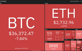 Giá Bitcoin rơi tự do