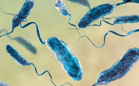 Diễn biến sức khỏe bé gái bị nhiễm "vi khuẩn ăn thịt người"