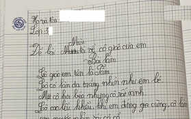 Bài văn tả cô giáo của học sinh tiểu học khiến cộng đồng mạng "đứng hình" mất 5 giây