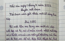 Bài văn giới thiệu đồ dùng học tập của học sinh tiểu học khiến cư dân mạng bật cười