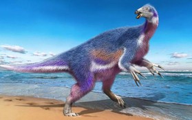 Tìm thấy khủng long "Thần Chết" với bộ vuốt khổng lồ ở Nhật Bản