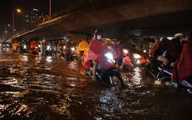 Hà Nội mưa ngập thường xuyên, nhiều người sẽ phải "đương đầu" với một loại sinh vật