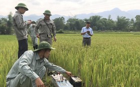 Nghệ An: Nguyên nhân ban đầu vụ xuất hiện nhiều "hố tử thần", nhà nứt hàng loạt