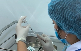 Điện Biên "ế" 51.000 liều vaccine, nguy cơ phải tiêu hủy