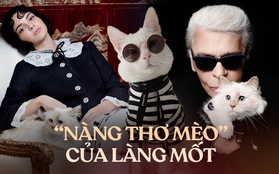 "Hoàng hậu” mèo nhà Chanel: Có người hầu kẻ hạ, ở villa hạng sang, vẫn kiếm được tiền tỷ sau khi chủ nhân qua đời