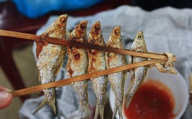Ở Bắc Kạn có món cá nướng Pác Ngòi "vạn người mê" - giản dị mà ngon hơn cả sơn hào hải vị!
