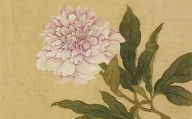Hoa nở trong Cố cung - Thược dược: Loài hoa tháng Năm hiện lên đầy tinh tế trong tranh cổ Trung Quốc