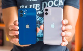 Giá nhiều mẫu iPhone tại Việt Nam đang rẻ nhất thế giới