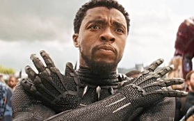 Ngôi sao quá cố Chadwick Boseman vẫn nhận được đề cử Emmy sau hơn 1 năm qua đời