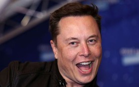 Bị Twitter kiện, luật sư của Elon Musk: Không việc gì phải vội!