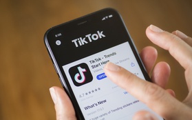 Chuyện gì đang xảy ra với TikTok: Bị tố truy cập dữ liệu quá mức 1 lần/giờ, rủi ro “bay” khỏi các kho ứng dụng, nhiều giám đốc đồng loạt bỏ đi