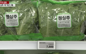 Vật giá tăng vọt ở Hàn Quốc: Xà lách thành "rau vàng", phục vụ hạn chế trong nhà hàng
