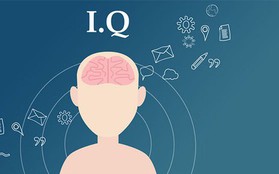 Bé gái 2 tuổi đã gia nhập cộng đồng những người có IQ cao nhất thế giới, nhưng ai cũng lo ngại IQ không tạo nên thành công