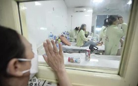 Bệnh viện Bạch Mai tiếp nhận hàng chục ca sốt xuất huyết do di chuyển từ miền Nam: Cảnh báo nguy cơ cao bùng phát dịch tại miền Bắc