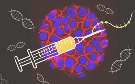 Công nghệ vaccine COVID-19 được sử dụng để điều trị ung thư