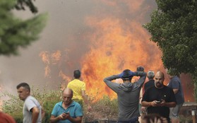 Cháy rừng dữ dội tại Tây Ban Nha, hàng nghìn người phải sơ tán