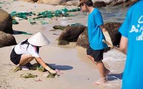 Người phụ nữ Hà Nội cùng con bỏ phố về biển dọn rác, thành lập nhóm tình nguyện "khoác màu áo mới" cho biển