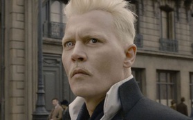 Johnny Depp có thể sẽ trở lại với phim Fantastic Beasts