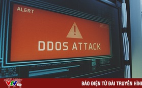 Google vừa chặn đứng cuộc tấn công DDoS lớn nhất từ trước tới nay