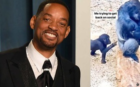 Will Smith trở lại mạng xã hội lần đầu tiên sau cái tát tai tiếng tại Oscar 2022