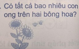 Học sinh Tiểu học đặt phép tính "1+0=1", tưởng "rõ như ban ngày" nhưng vẫn gây tranh cãi